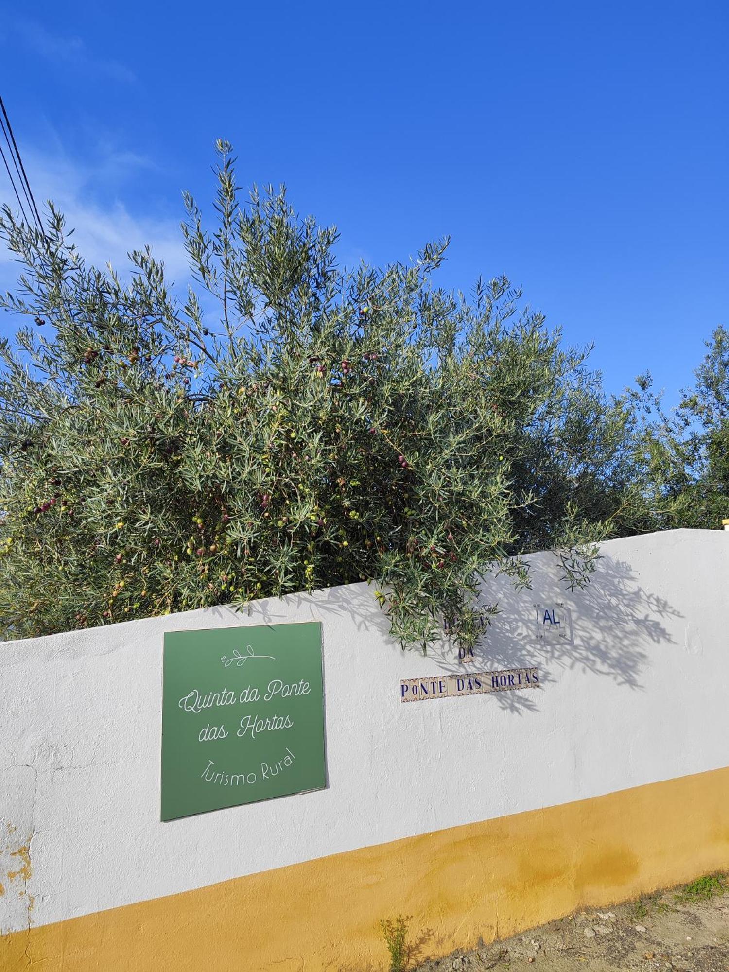 Quinta Da Ponte Das Hortas 2 Elvas Exteriör bild