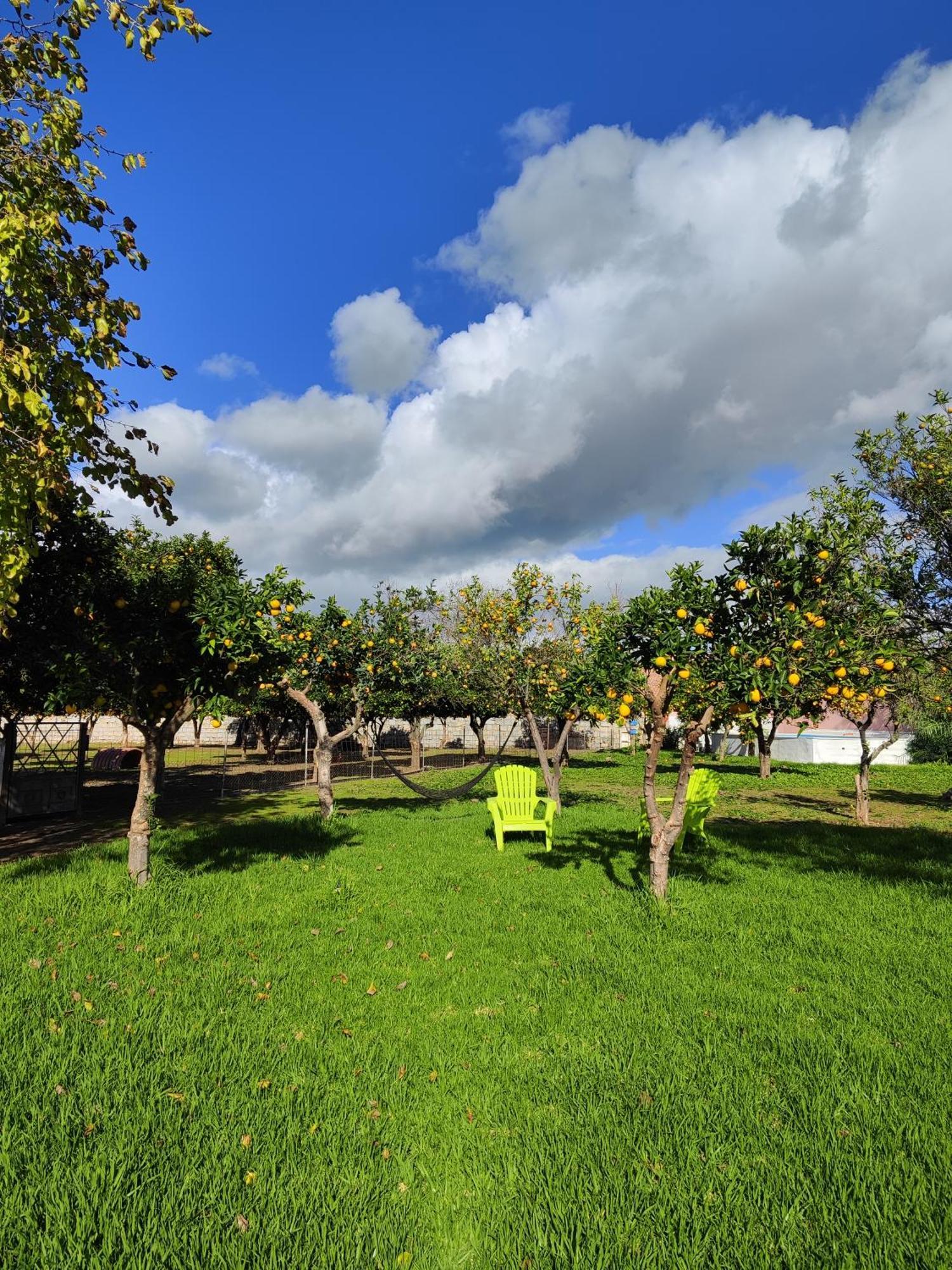 Quinta Da Ponte Das Hortas 2 Elvas Exteriör bild